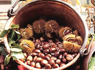 Teverina di Cortona (AR) - Sagra della castagna - Ottobre